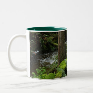 BC Forest Creek Ferns Wilderness Natuur Drinkware Tweekleurige Koffiemok