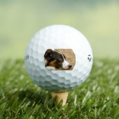 bc-legvlak golfballen (Insitu Shirt)