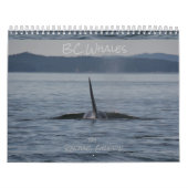 BC Whales Kalender (Hoes)