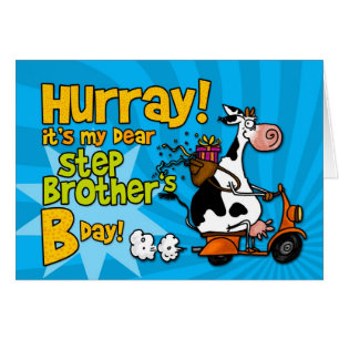 bd - koe - stapbroer