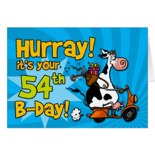 bd - scooterkoe - 54