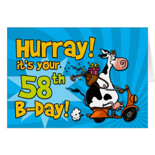 bd - scooterkoe - 58
