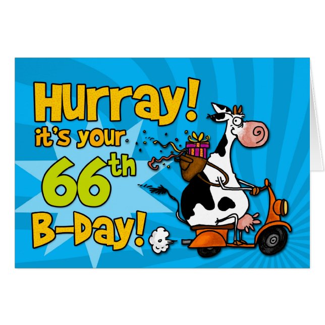 bd - scooterkoe - 66 (Voorkant Horizontaal)