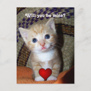 Be Mine Kitten Briefkaart