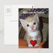 Be Mine Kitten Briefkaart (Voorkant / Achterkant)