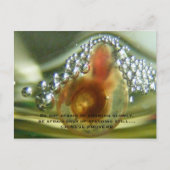 Be not afraid of growing slowly, be a... briefkaart (Voorkant)