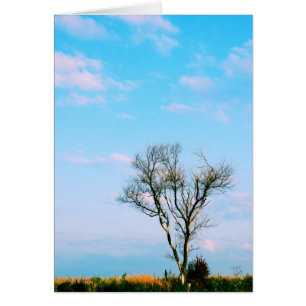 Be Not Barren - Carte d'écriture