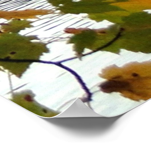 Be Still and Know, Fall Christian Poster (Coin)