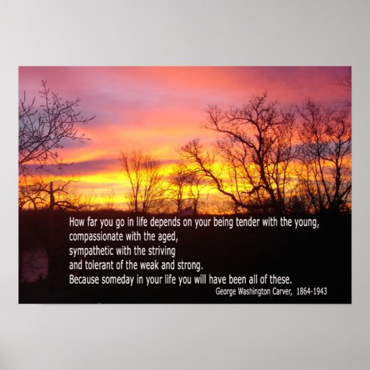 Be tender with the young poster (Devant)