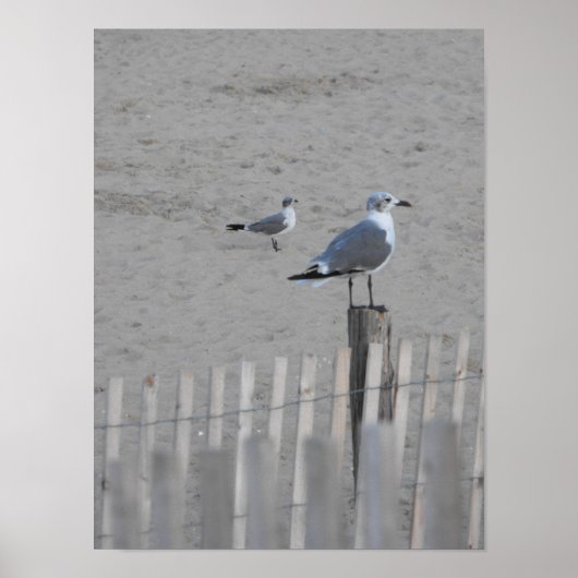 Beach ~ 25,5 poster (Voorkant)