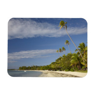 Beach and palm bomen, Plantation Island Resort Magneet