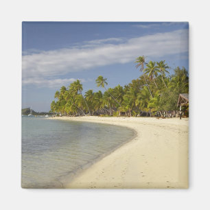 Beach and palm bomen, Plantation Island Resort Magneet