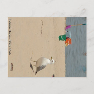 Beach Birdie Briefkaart