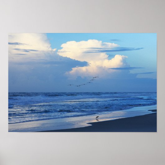 Beach Birds at Dawn 1 Poster (Voorkant)