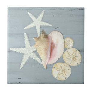Beach Blue Cottage Starfish Sanddollar Conch Shell Tegeltje