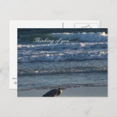 Beach Briefkaart (Voorkant / Achterkant)