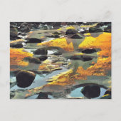 BEACH BRIEFKAART (Voorkant)