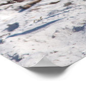 Beach-bum Heron Poster (Hoek)