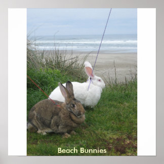 Beach Bunnies Poster - Gepersonaliseerd