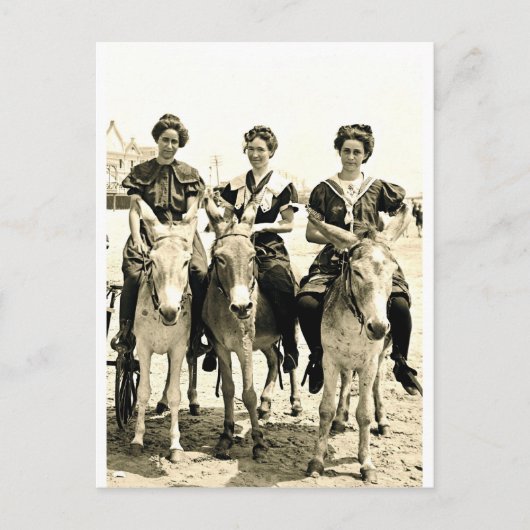 Beach Burros Briefkaart (Voorkant)