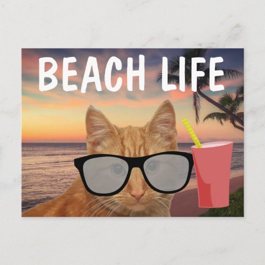 BEACH CAT GINGER SUNGLASSES BRIEFKAART (Voorkant)