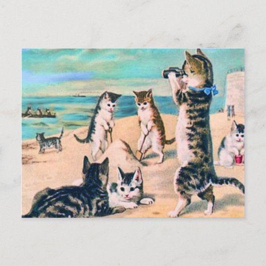 Beach Cats Briefkaart (Voorkant)