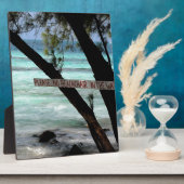 Beach Chairs Rum Point Grand Cayman Fotoplaat (Zijkant)