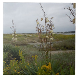 Beach Clouds and Wildbloemen - Oak Island, NC Tegeltje