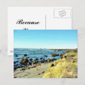Beach Coast in Monterey Ocean Water Zee Briefkaart (Voorkant / Achterkant)
