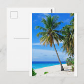 Beach Coconut Tree Briefkaart (Voorkant / Achterkant)