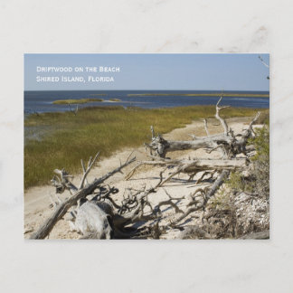 Beach Driftwood Briefkaart