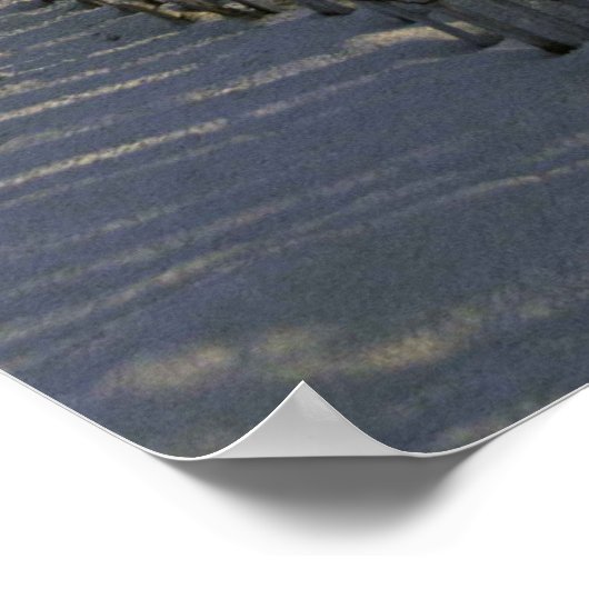 Beach Dunes Poster (Hoek)