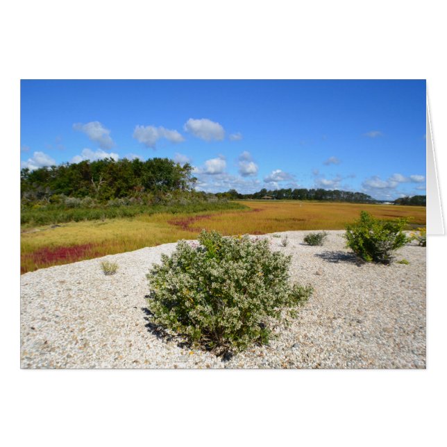 Beach en Marsh Notecard (Voorkant Horizontaal)