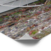 Beach-fiets Poster (Hoek)