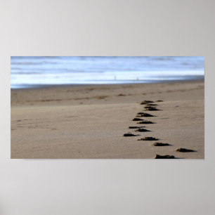 Beach Footstep Poster