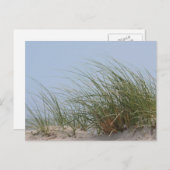 Beach foto briefkaart (Voorkant / Achterkant)