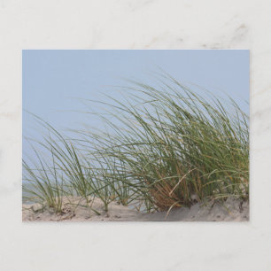 Beach foto briefkaart