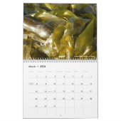 Beach fotografie kalender (Mar 2026)