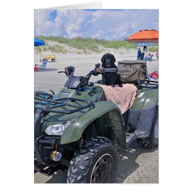Beach Fun (Voorkant)