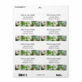 Beach Glass Adresetiketten Etiket (Full Sheet)