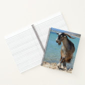 Beach Goat Notitieboek (Binnen)