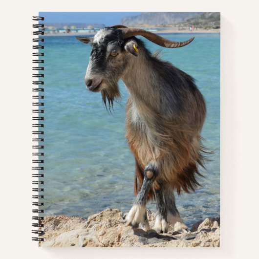 Beach Goat Notitieboek (Voorkant)