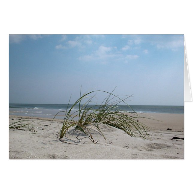 Beach Grass (Voorkant Horizontaal)
