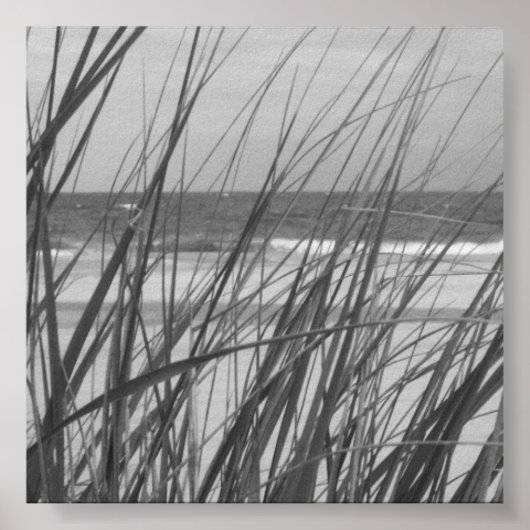 BEACH GRASS POSTER (Voorkant)