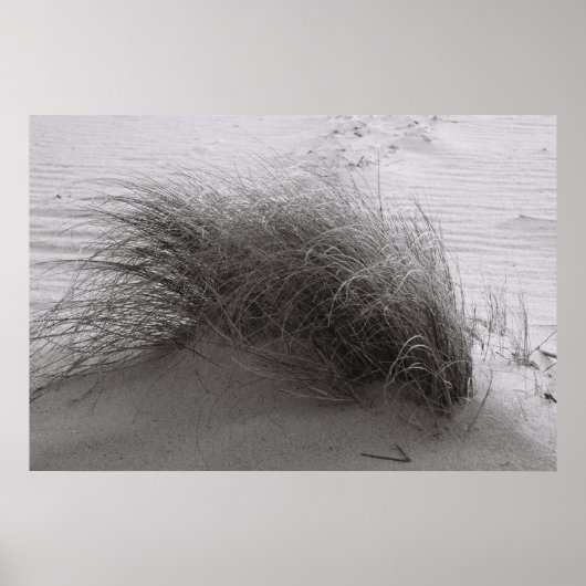 Beach Grass Poster (Voorkant)