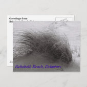 Beach Grass Rehoboth Briefkaart (Voorkant / Achterkant)