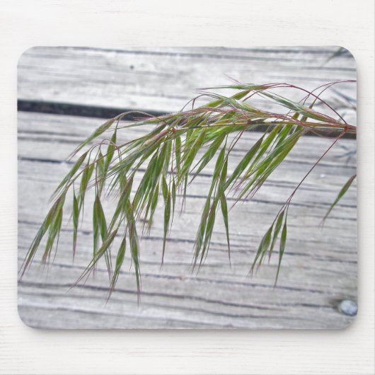 Beach Grass Seeds bij IBSP Mousepad Muismat (Voorkant)