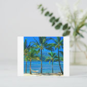 Beach Hammock Kauai Hawaii Briefkaart (Staand voorkant)