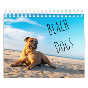 Beach Hogs Kalender