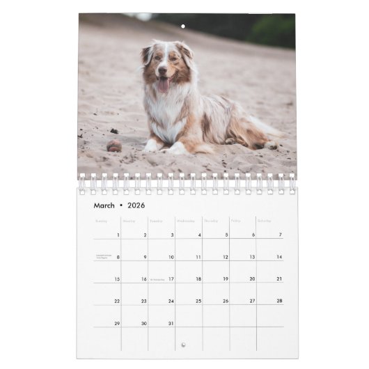 Beach Hogs Kalender (Mar 2026)